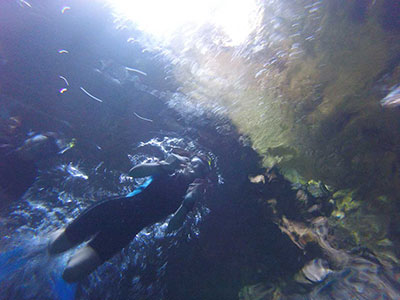 kayak